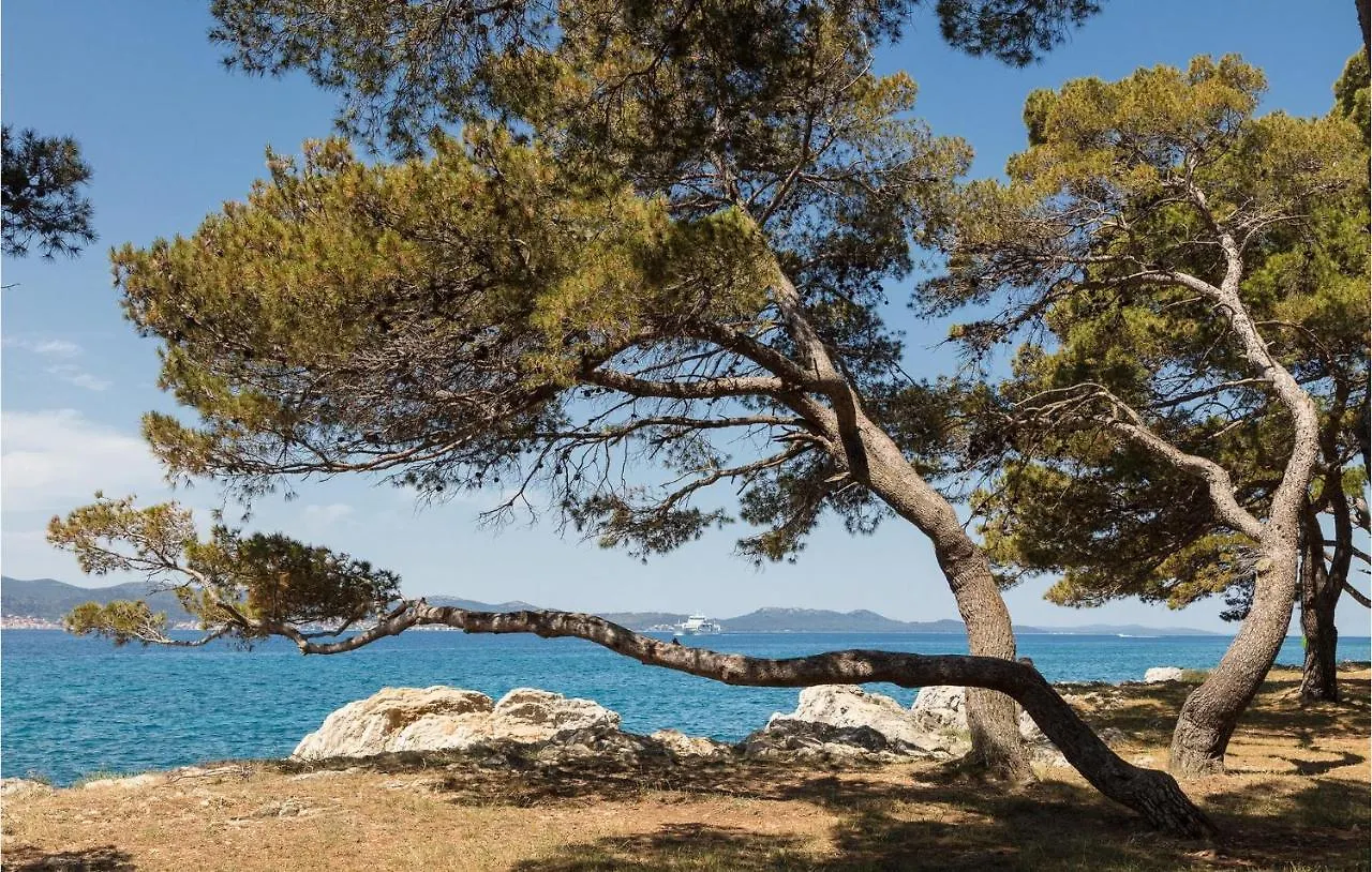 Villa Tereza Zadar 0*,